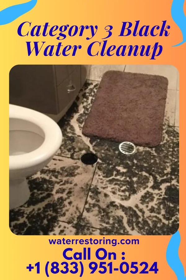 Category 3 Black Water Cleanup in Jemez Springs, NM