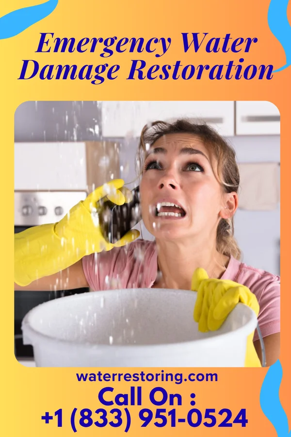 Emergency Water Damage Restoration in Jemez Springs, NM